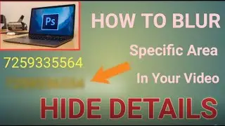 // How To Blur a Private Details In Your Video  // Adobe Premier Pro Tutorial //