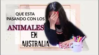 QUE ESTA PASANDO CON LOS ANIMALES DE AUSTRALIA? 🐾