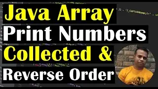 Store n real Number Inputs in an array and print them in Same and Reverse Order | Class#65