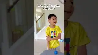 Avoid bee sting #honeybee #honeybeestamps #beesting #honeybees #mitishap #fyp #kids #kidsvideo