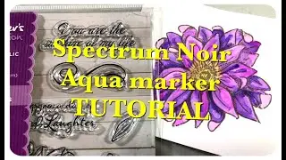 Demo- Spectrum Noir aqua markers!