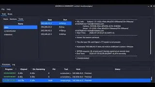 Vulnerability Scanning using "Legion"