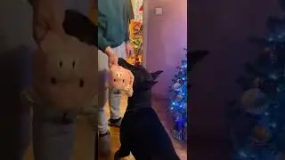 Happy New year 🎁