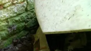 Epave de DS dans la ruine