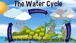 Water Cycle | Science Videos for Kids | Snazzy Kids
