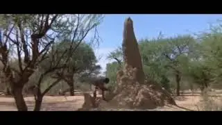 Demiri pas, İnsanı hırs bitirir