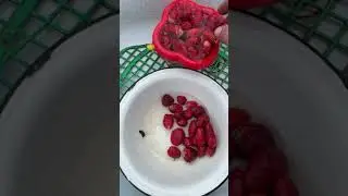 Вкусная ягода !