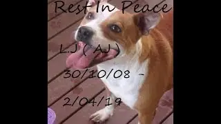 R.I.P LJ
