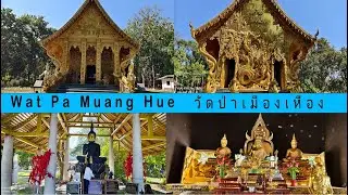Bueng Kan's Hidden Gem Unveiled: Discover Wat Pa Muang Hue