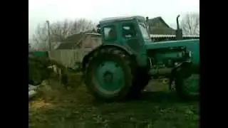Т-40ам и пень с деликатесами.
