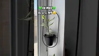 Фикс Прайс в моем доме 💚