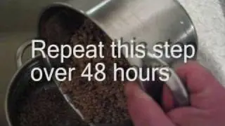 How to make malted barley