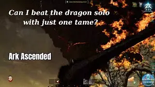 Primal Chaos:  Can I Solo The Gamma Dragon