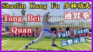 Tong Bei Quan (Full Form) - Shaolin Kung Fu Demonstration 🤜 #少林功夫 #少林通臂拳 #拳法 #功夫教學 示範 #通臂拳 完整示範 教學 🤜