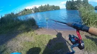 Не рыбный день на Сестрорецком разливе 24.06.2015