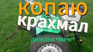 ВЫКАПЫВАЮ КРАХМАЛ ДИЗЕЛЕМ 