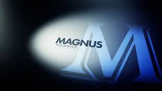 Power Partner Spotlight: Magnus Title Agency
