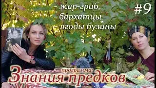 Секреты жар-гриба, бархатцев и ягод бузины. Программа "Знания предков". Выпуск №9. "Дары октября"