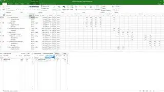 MS project
