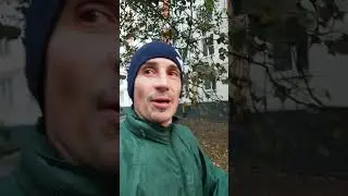 Утепляемся | День 479✅