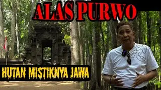 ALAS PURWO HUTAN MISTIKNYA JAWA || ALAS PURWO BANYUWANGI #alaspurwo #misteribanyuwangi #mistik
