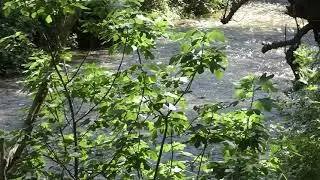 River 5 Free Stock Footage