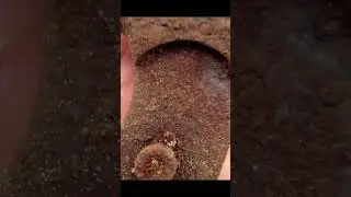 WW2 METAL DETECTING / НАХОДКИ И АРТЕФАКТЫ ИСТОРИИ