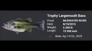 Fishing Planet - HOW TO USE BASS JIG