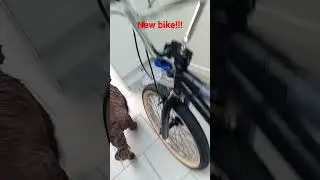 New bmx bike !!!