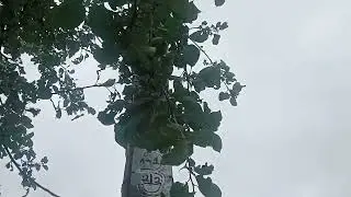 Ретро опора со светильником СПО-2-200.