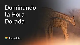Dominando la Hora Dorada | Fundamentos de Fotografía