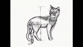Кот Как нарисовать поэтапно Кота  Рисование карандашом поэтапно 