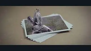 за пределами рамки