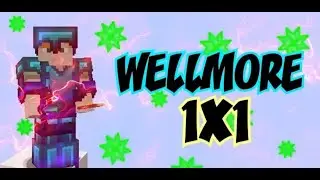 WELLMOR ТОП ПВП