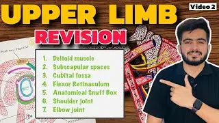 Complete Upper Limb Revision | Video 2 | 1st Year Professional Exams