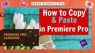 How to Copy and Paste Clips in Premiere Pro Easily