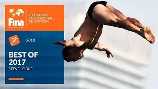 Steve Lobue - The golden Surprise in High Diving - Best of FINA 2017