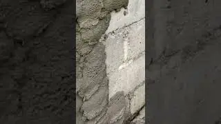 Plastering construction tutorial #diy #renovation #concrete #howtoplaster #diy #shorts #fyp