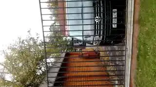Осеннее обострение