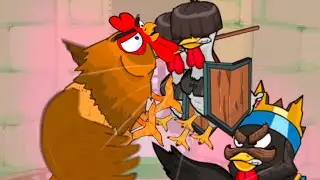 The Dark World of Chicken Fighting