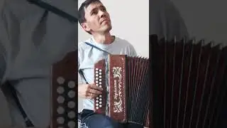 САЛКЫН ЧАЙ НА ГАРМОНИ #кариммуратов #баянпобратски #гармонь