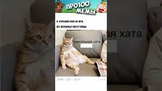 Смешные Коты 2022 Лучшие мемы и приколы с котами Мемы Про100