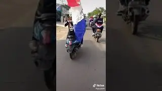 ledis moonraker