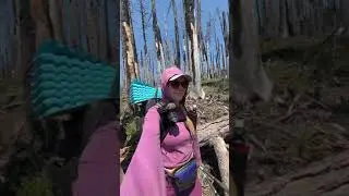 Day 4 returning to the PCT to finish my 90 miles I missed last year due to a forest fire. 