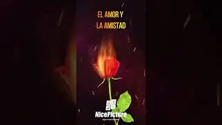 Día de San Valentín NicePicture