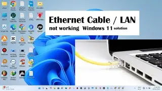 Ethernet cable isn't plugged in Windows 11 | Ethernet connected but no internet access Windows 11
