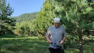 Звукотерапия, глюкофон, природа и птицы.