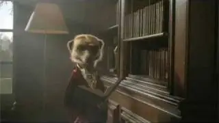 Meerkat Bloopers