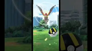 Open Pokedex Talonflame #pokemongo #rare #game #android #pogo #iter_gaming