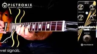 Pigtronix Philosopher's Tone Micro